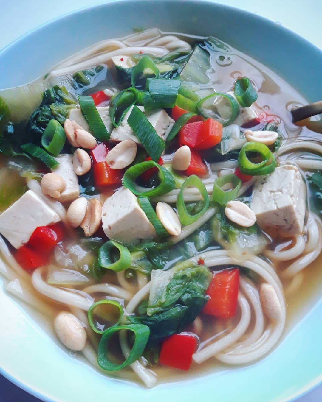 Vegan noodle soup